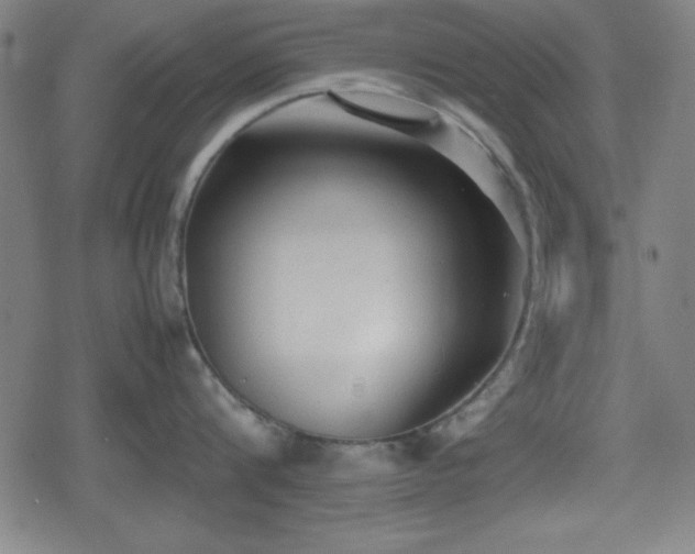 X0000078860816200611131201