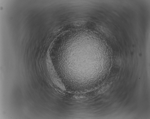 X0000078860817200611131200