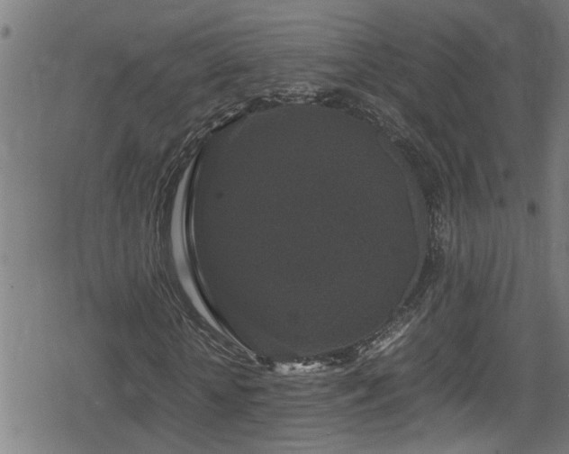 X0000078860818200611131200