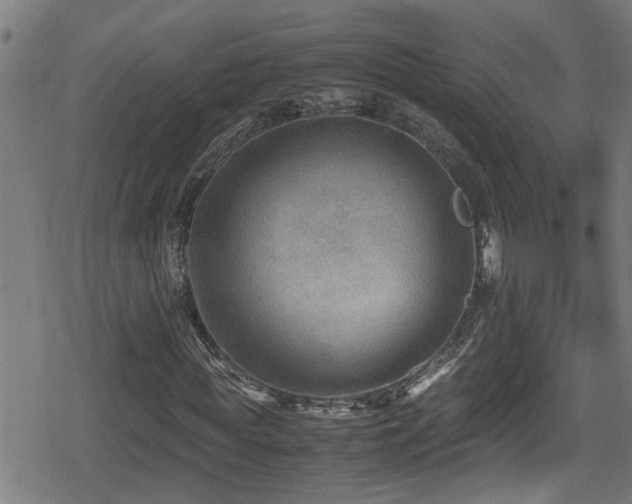 X0000078860819200611131200