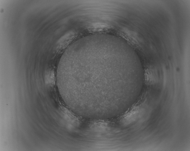 X0000078860820200611131200