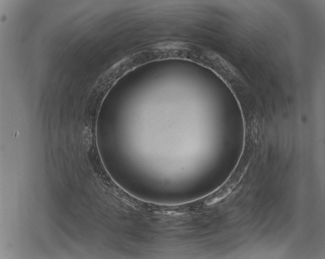 X0000078860821200611131200