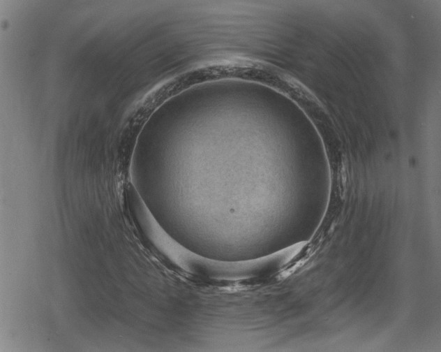 X0000078860822200611131200