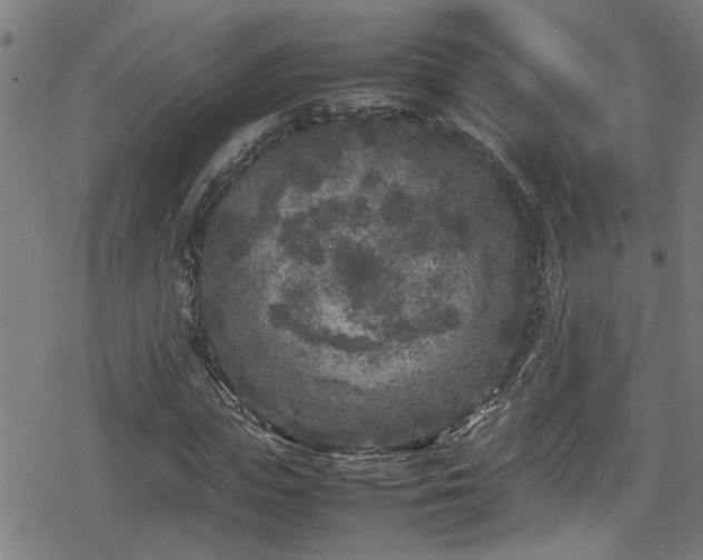 X0000078860823200611131201