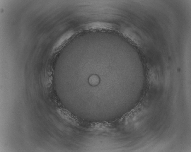 X0000078860824200611131201