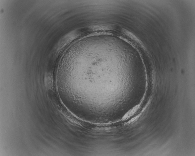 X0000078860825200611131201