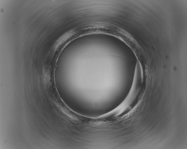 X0000078860826200611131201