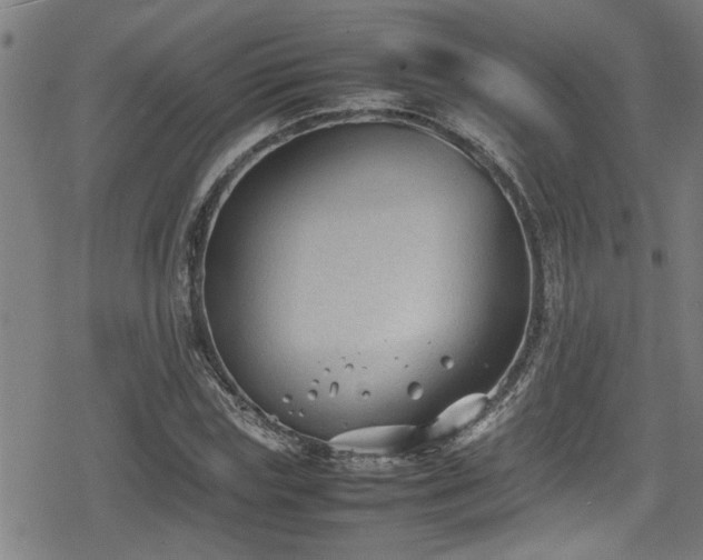 X0000078860827200611131201