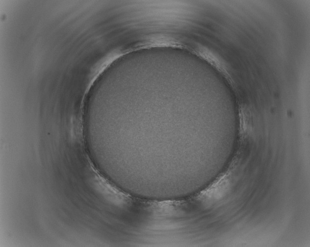 X0000078860828200611131201