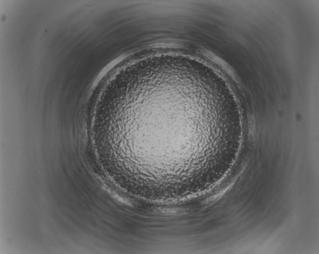 X0000078860829200611131201