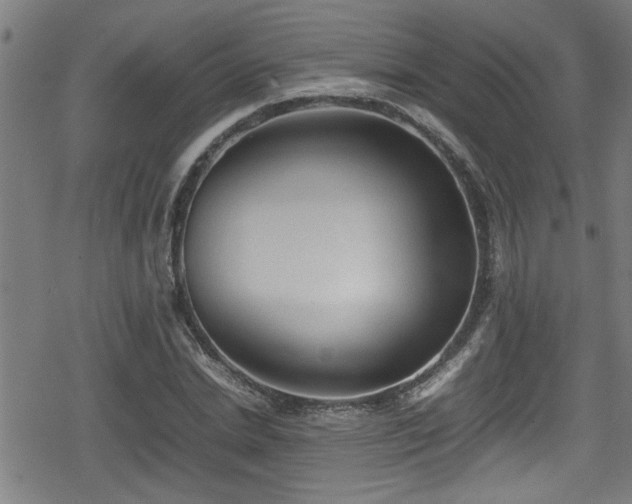 X0000078860830200611131201