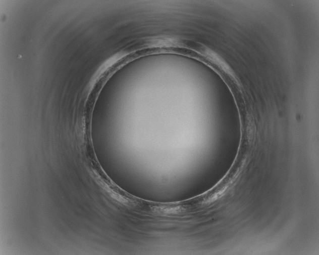 X0000078860831200611131201