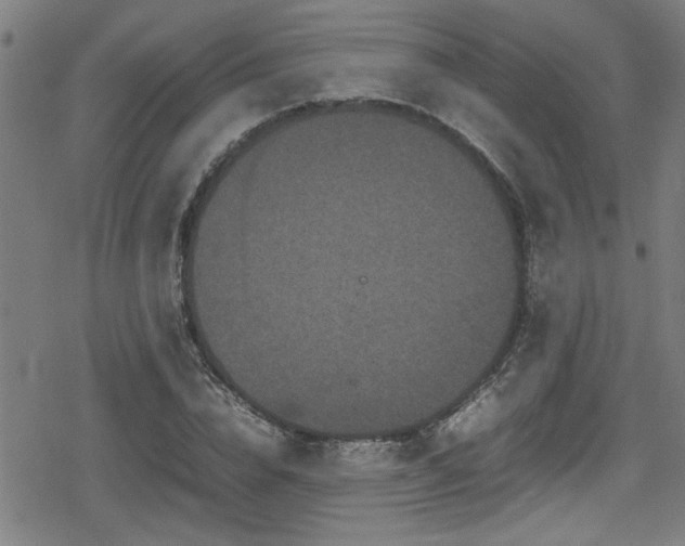 X0000078860832200611131201