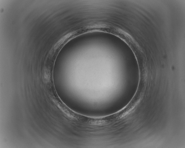 X0000078860833200611131201