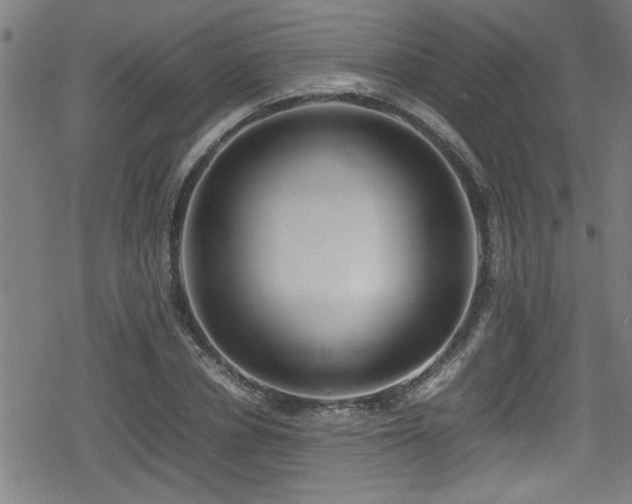 X0000078860834200611131201