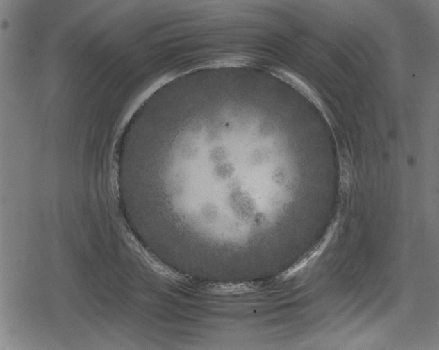 X0000078860835200611131201