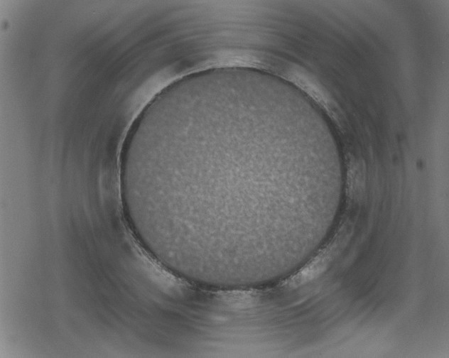 X0000078860836200611131201