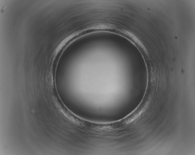 X0000078860837200611131201