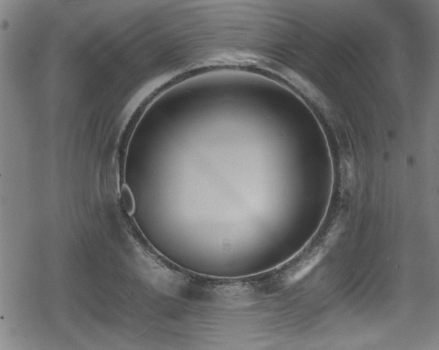 X0000078860838200611131201