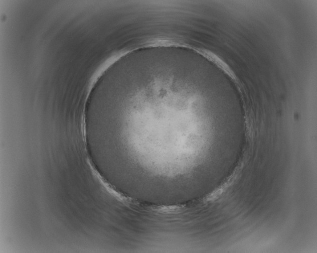 X0000078860839200611131201