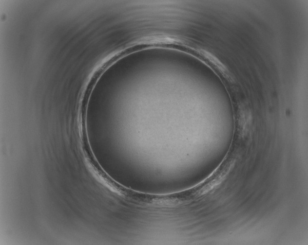 X0000078860840200611131201