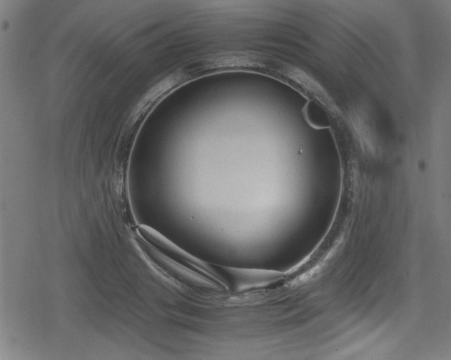 X0000078860841200611131201