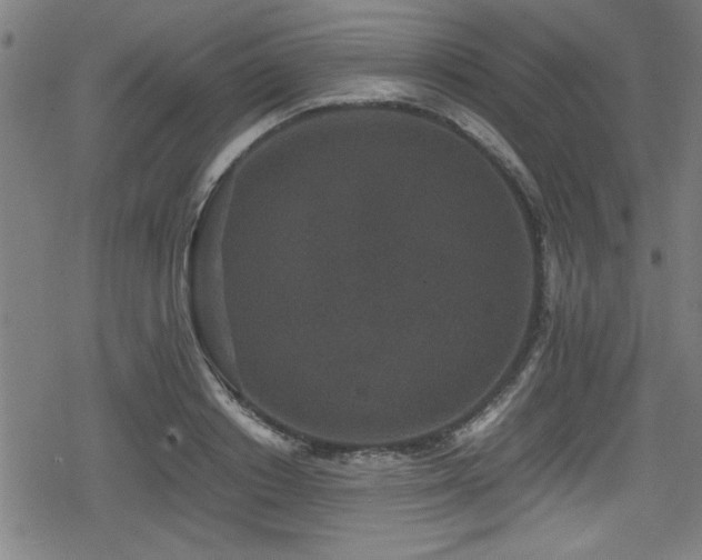 X0000078860842200611131201