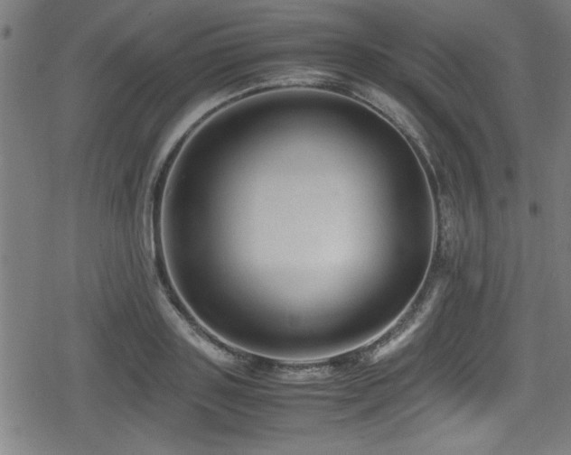 X0000078860843200611131201