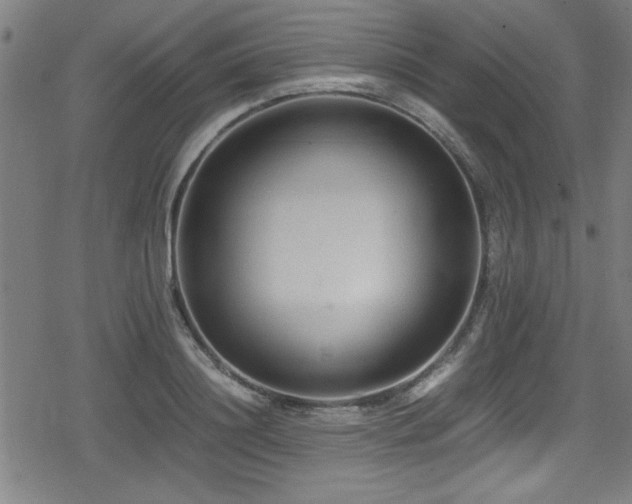 X0000078860844200611131201