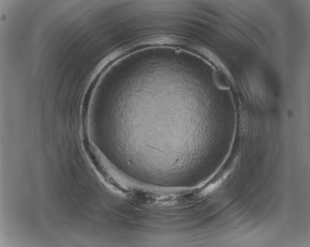 X0000078860845200611131201