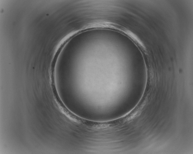 X0000078860846200611131201