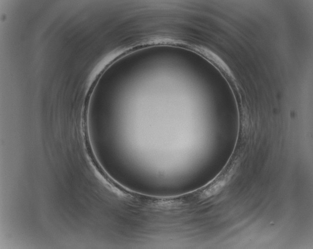 X0000078860847200611131201