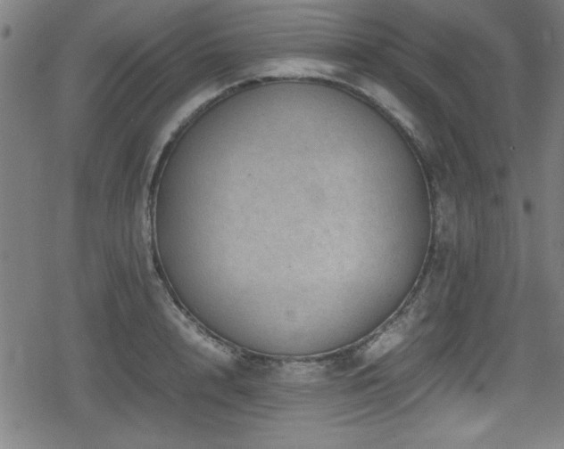 X0000078860848200611131201