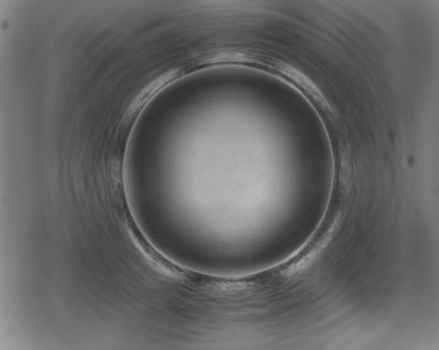 X0000078860849200611131201