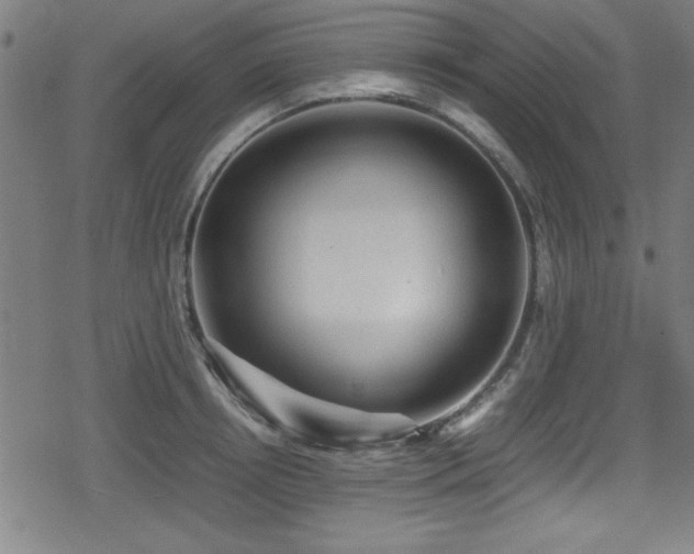 X0000078860850200611131201