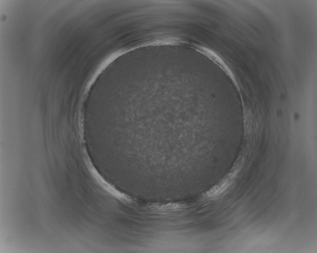 X0000078860851200611131201