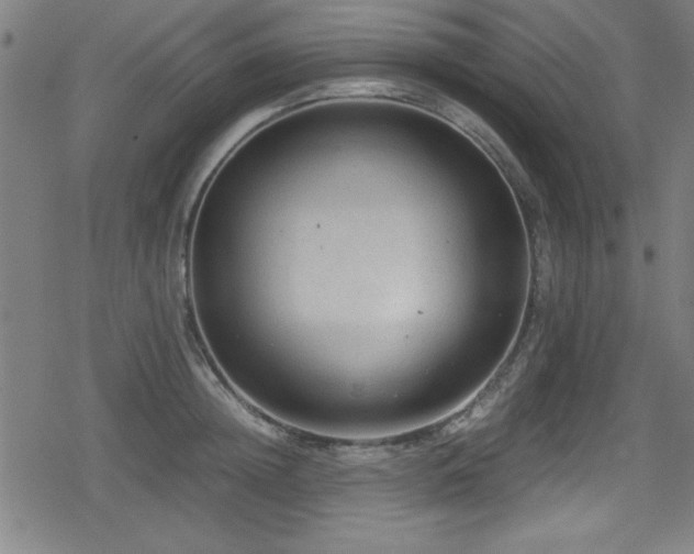 X0000078860852200611131201