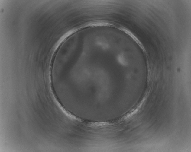 X0000078860853200611131201