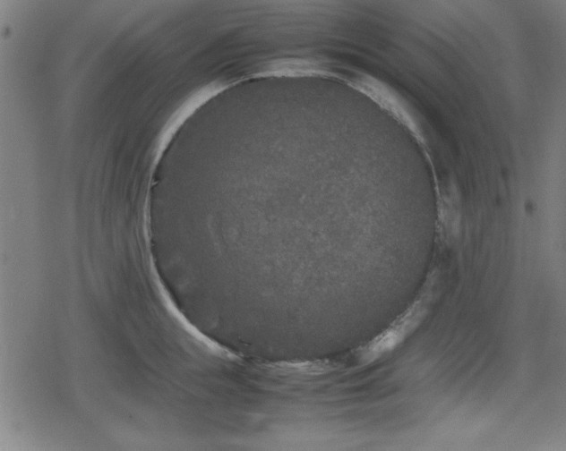 X0000078860855200611131201