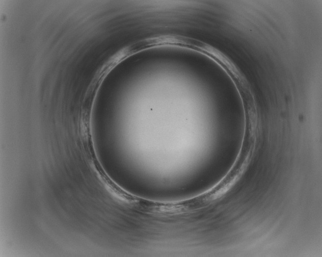 X0000078860857200611131201