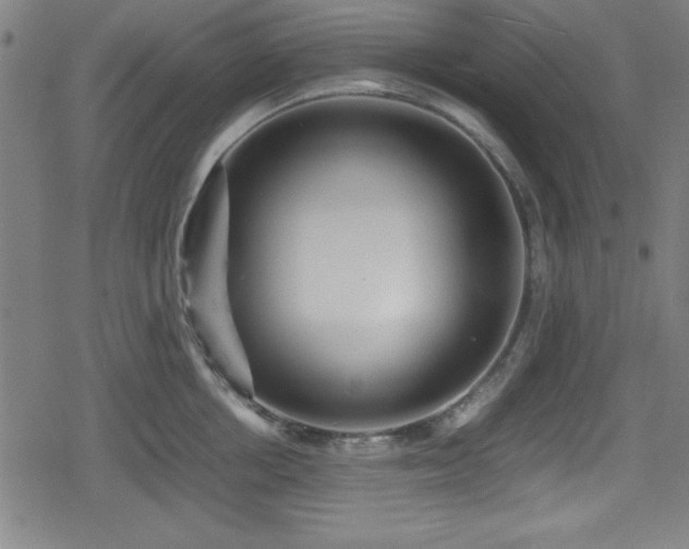 X0000078860858200611131201