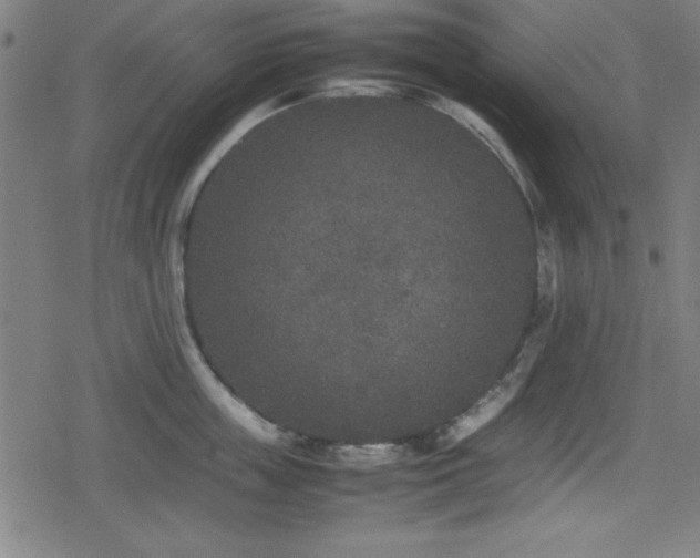 X0000078860859200611131201