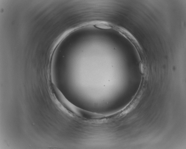 X0000078860860200611131201