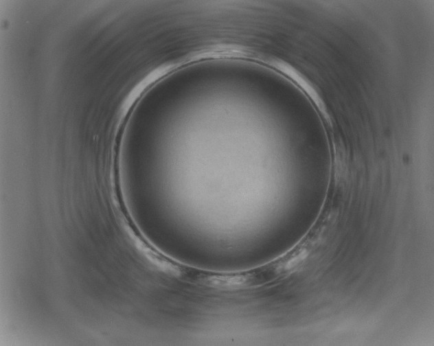 X0000078860861200611131201