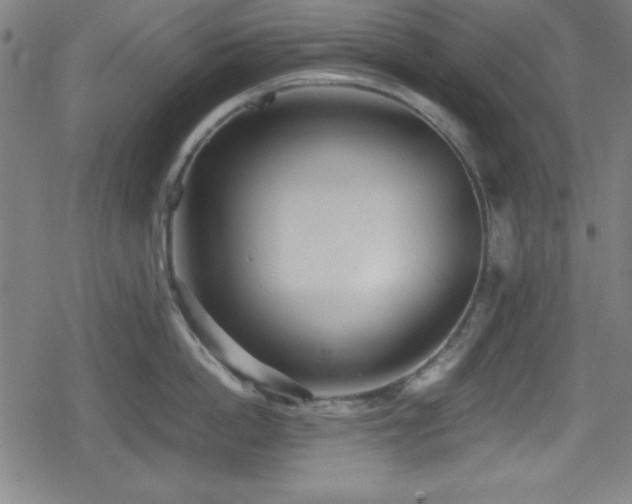 X0000078860862200611131201