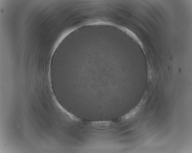 X0000078860863200611131201