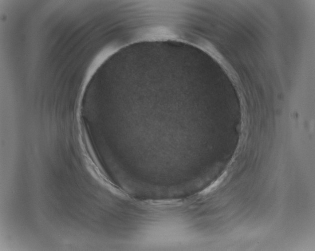 X0000078860864200611131201