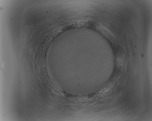 X0000078860865200611131200