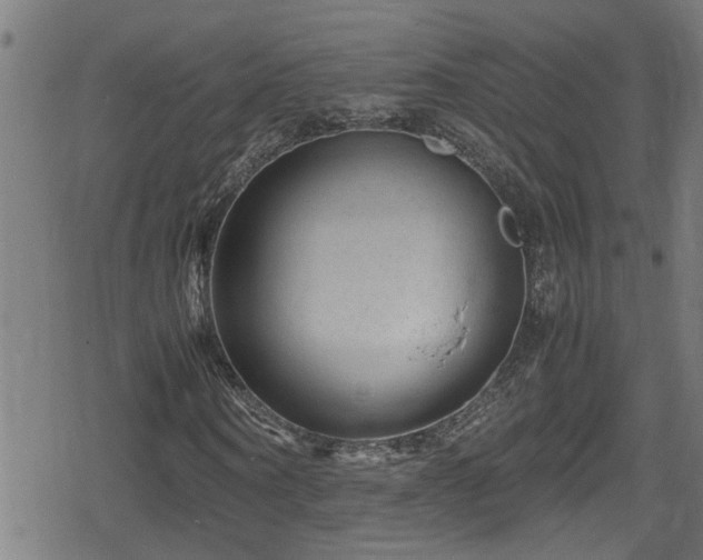 X0000078860866200611131200