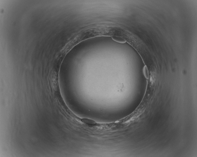 X0000078860867200611131200